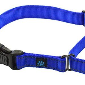 NWT Max & Neo Royal Blue Nylon Buckle Martingdale Dog Collar Size Large